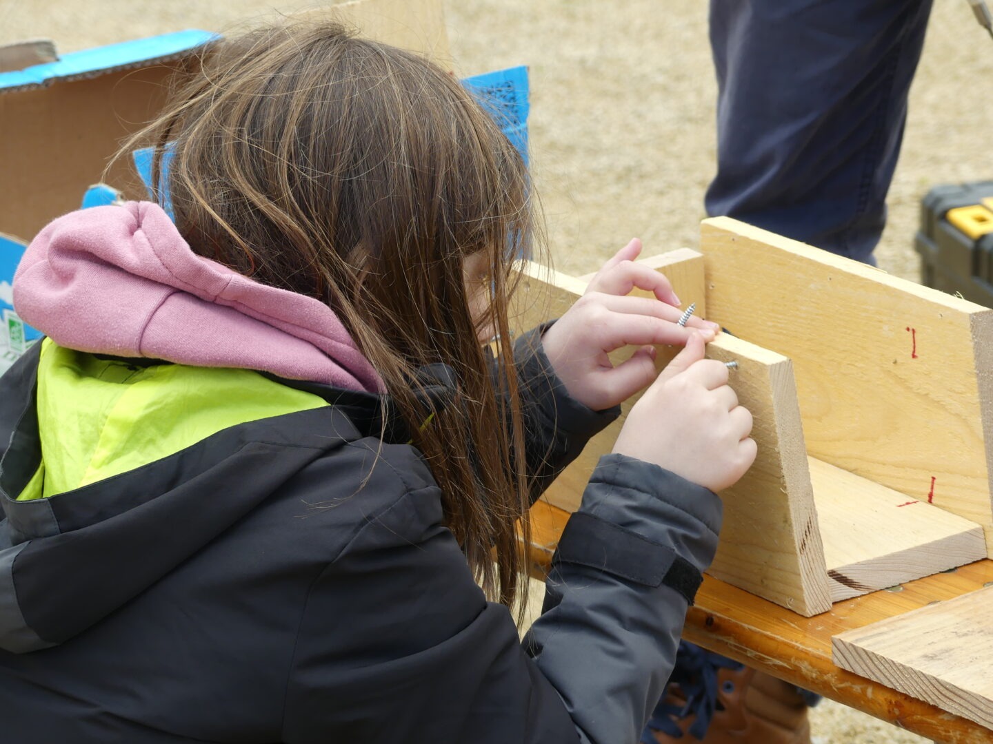 Action RSE biodiversité