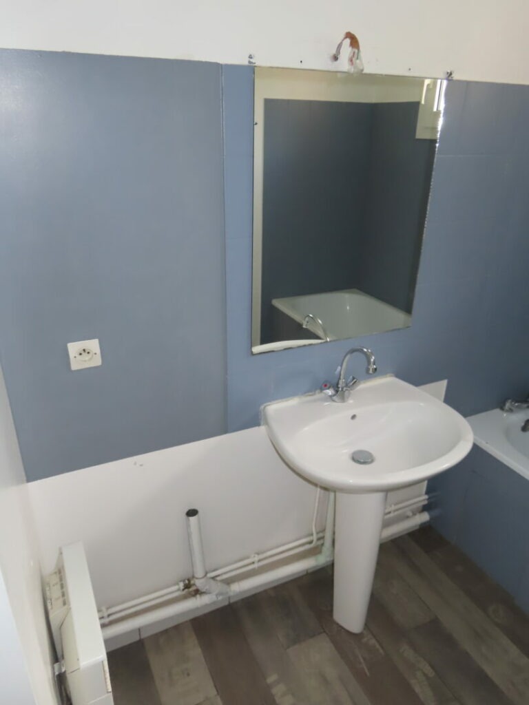 IMG 0006
